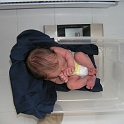8 lbs